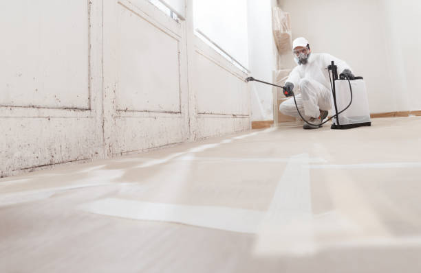 24/7 Emergency Attic Mold Removal experts in Decatur, TN